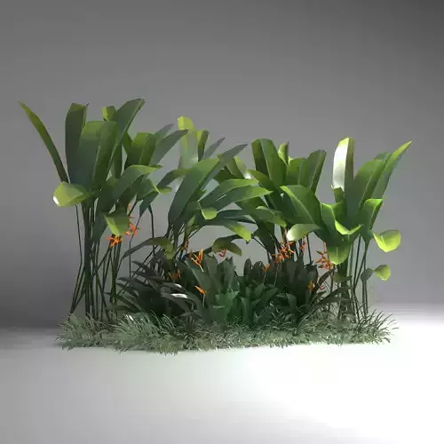 Tropical plant set Low-poly 3D model