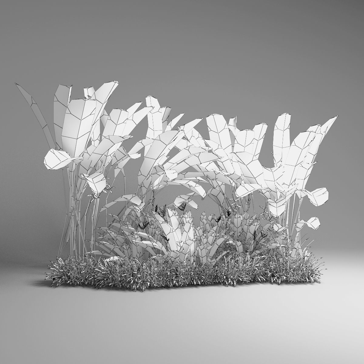 Tropical plant set Low-poly 3D model_5