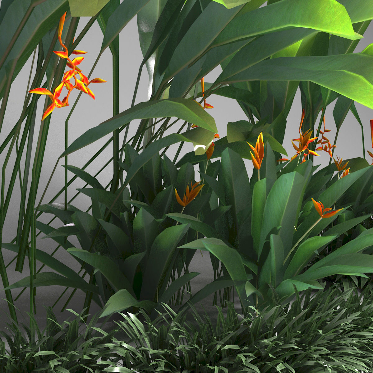 Tropical plant set Low-poly 3D model_2