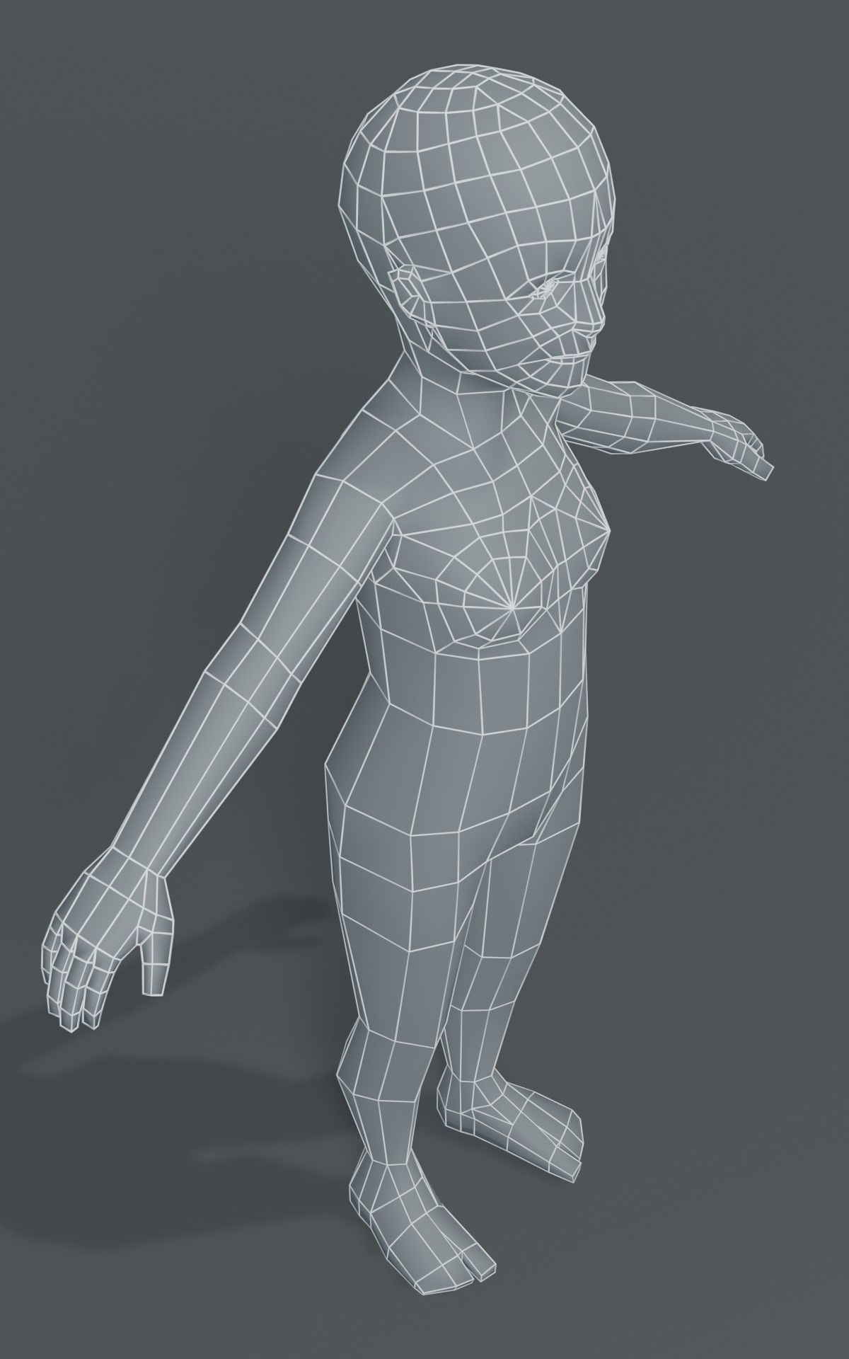 Standard Human Body Base Mesh Collection 1000 Polygons _8