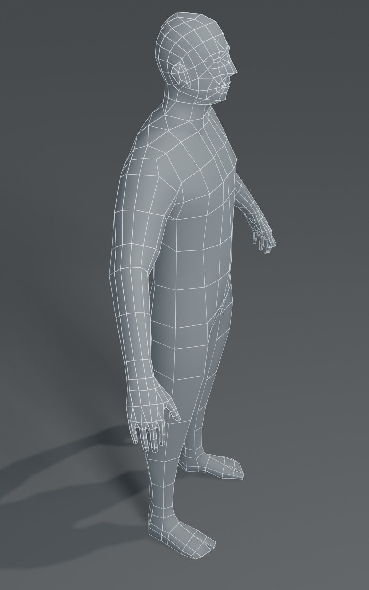 Standard Human Body Base Mesh Collection 1000 Polygons _20