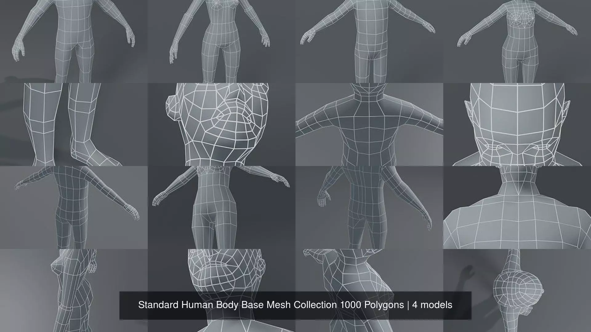 Standard Human Body Base Mesh Collection 1000 Polygons _5