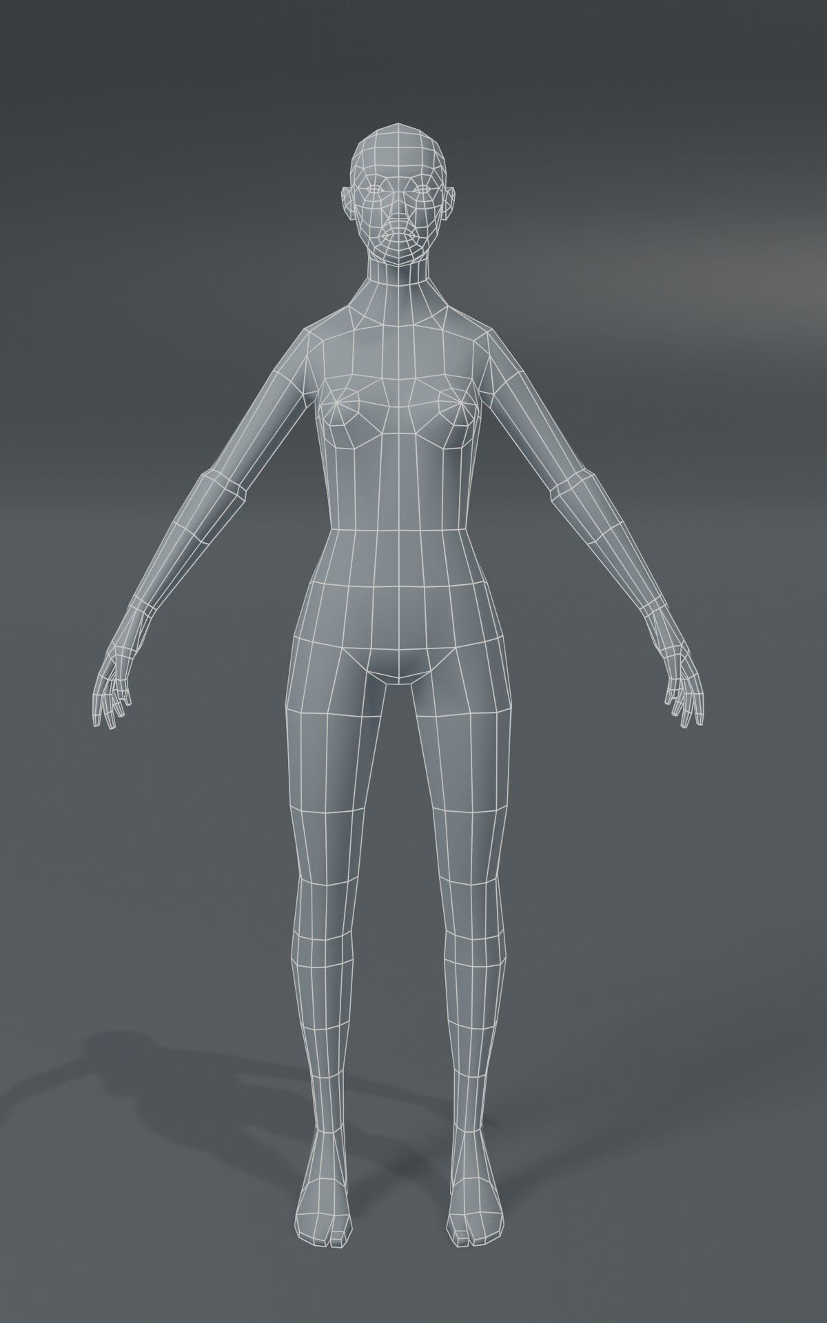 Standard Human Body Base Mesh Collection 1000 Polygons _25