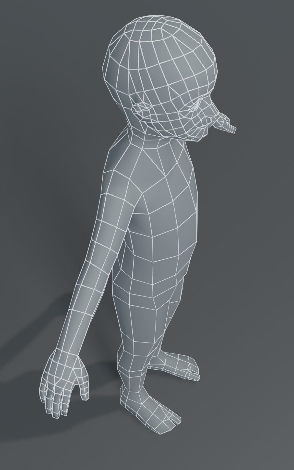 Standard Human Body Base Mesh Collection 1000 Polygons _11