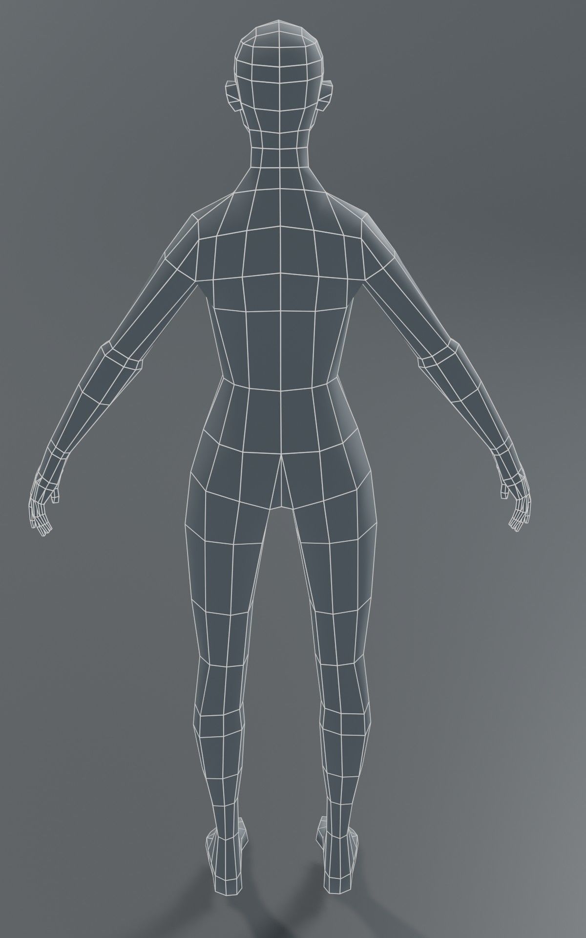 Standard Human Body Base Mesh Collection 1000 Polygons _15