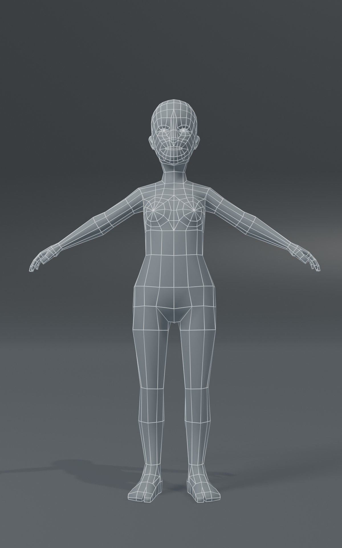 Standard Human Body Base Mesh Collection 1000 Polygons _24