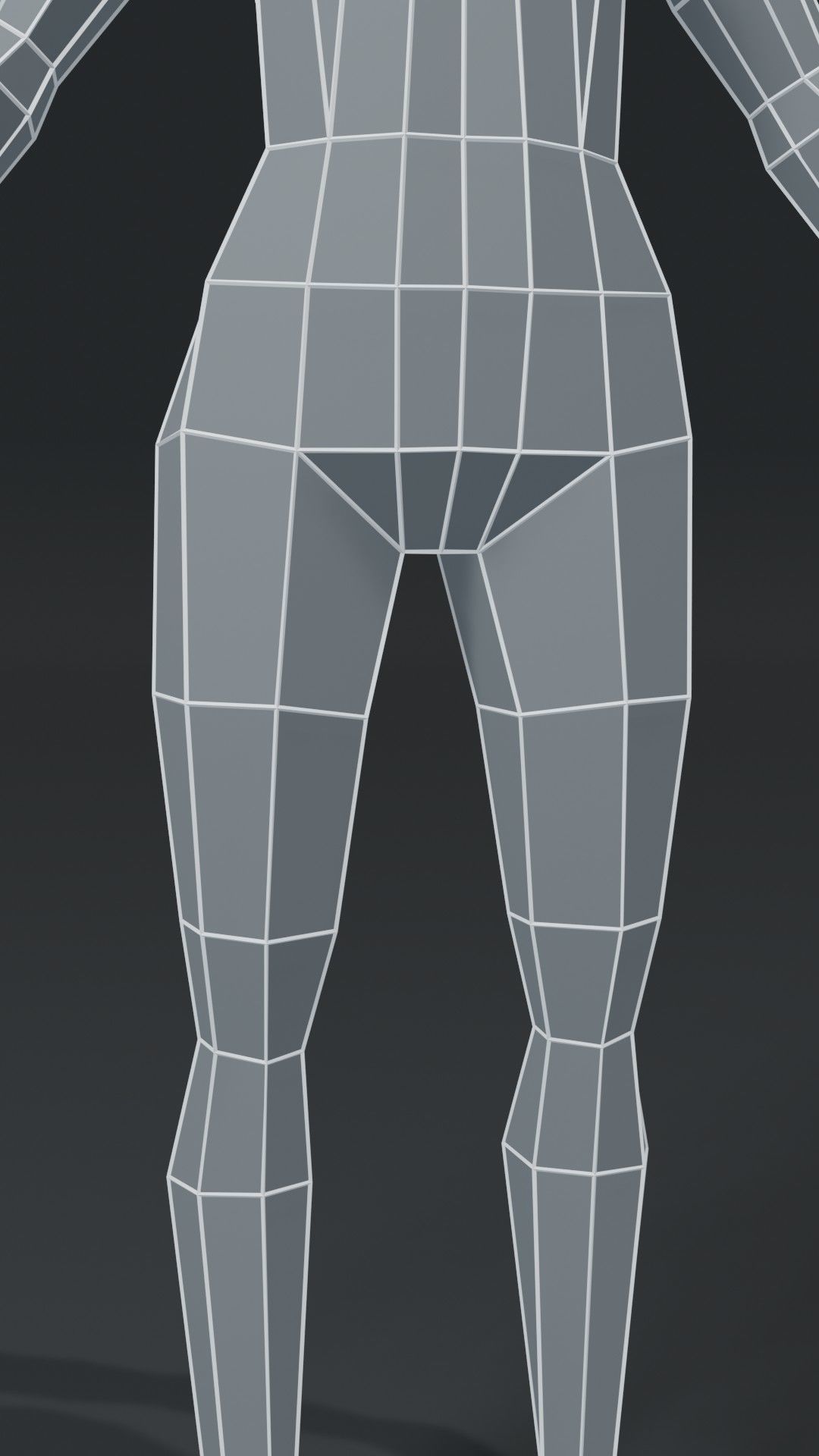 Muscular Human Body Base Mesh Collection 1000 Polygons _21