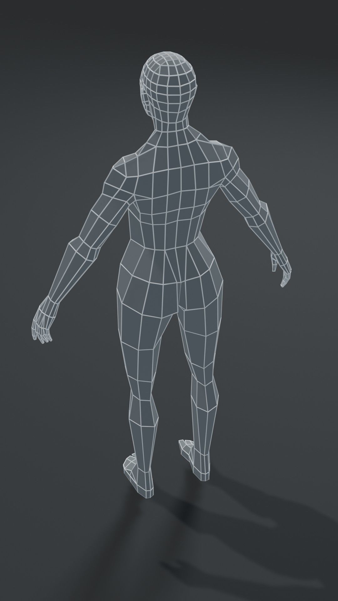 Muscular Human Body Base Mesh Collection 1000 Polygons _15
