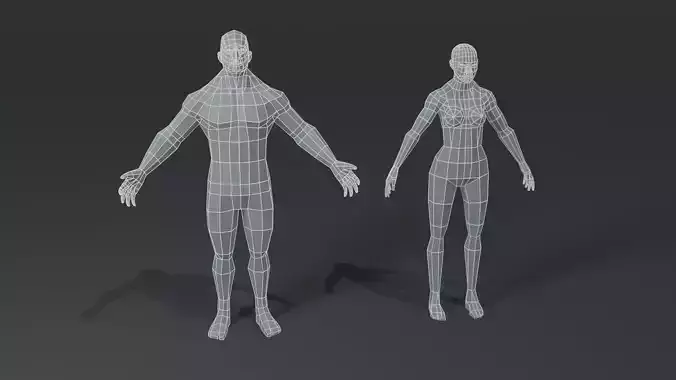 Muscular Human Body Base Mesh Collection 1000 Polygons 