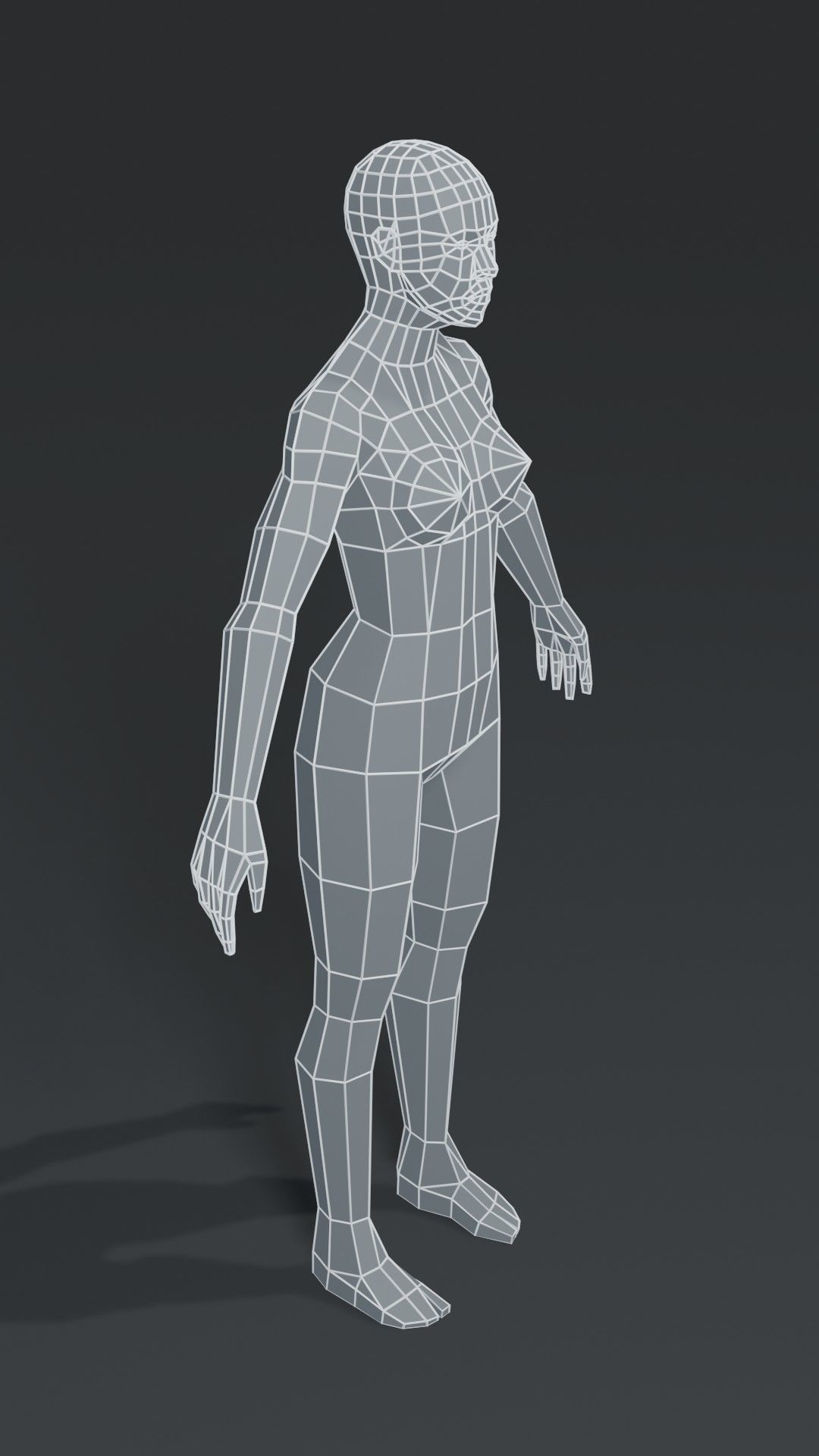Muscular Human Body Base Mesh Collection 1000 Polygons _24