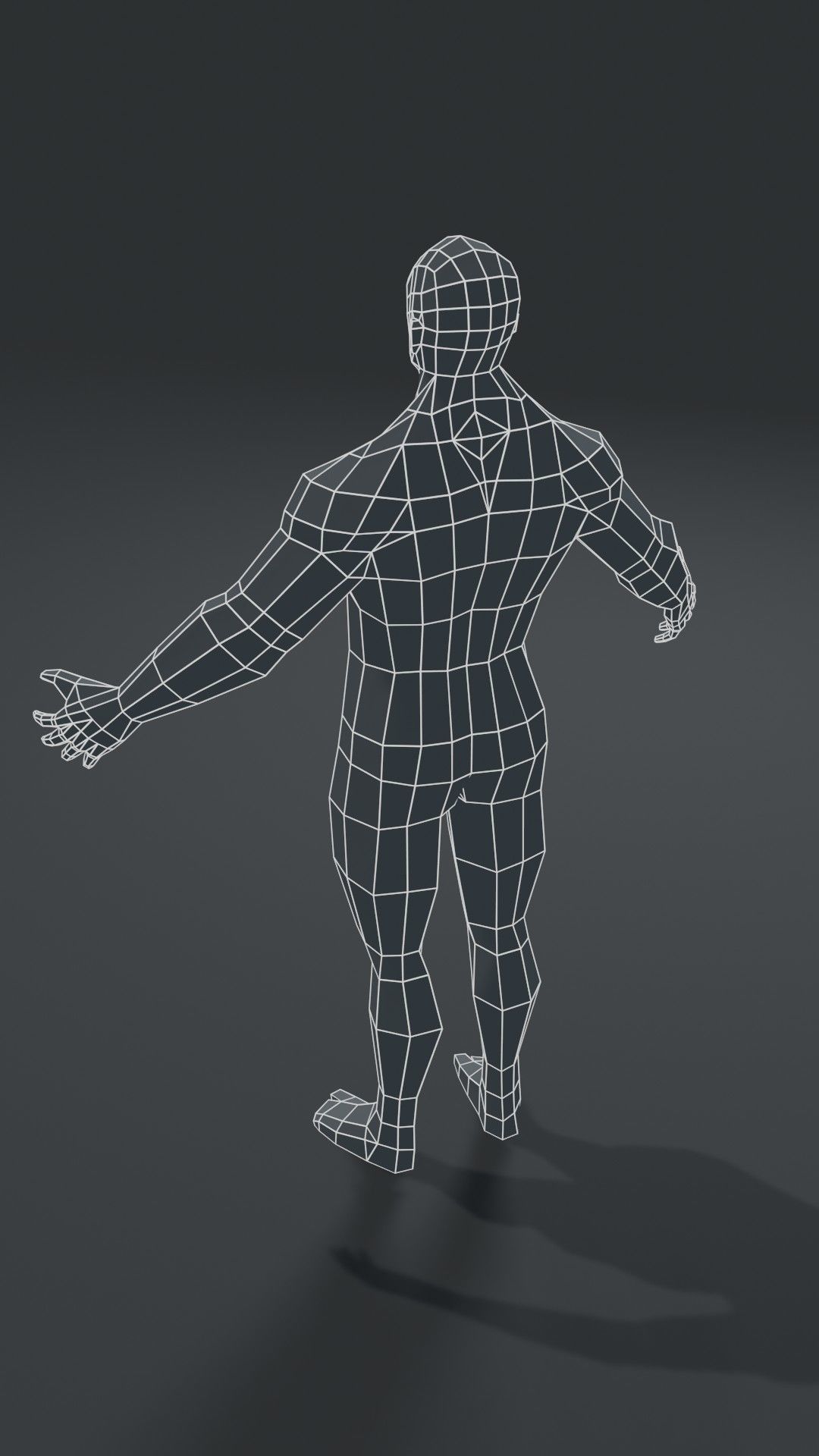 Muscular Human Body Base Mesh Collection 1000 Polygons _12