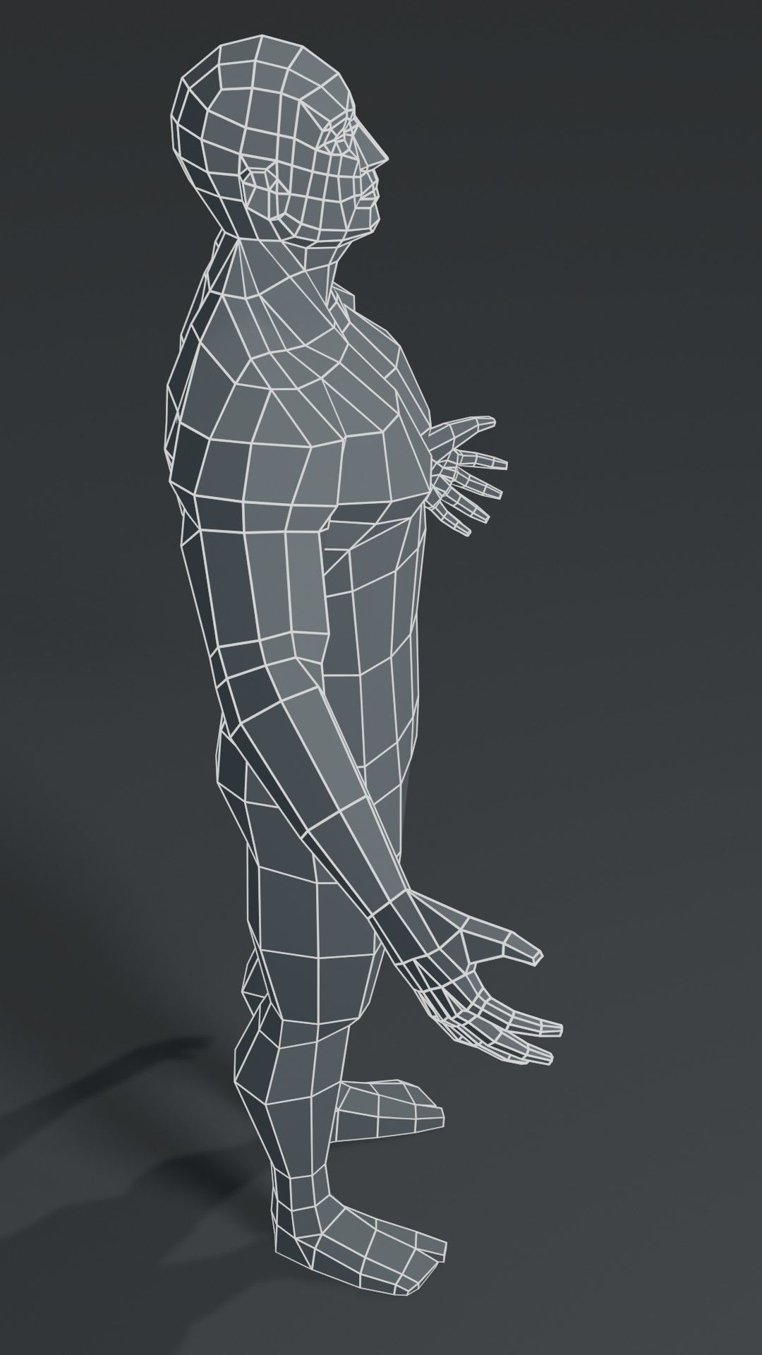 Muscular Human Body Base Mesh Collection 1000 Polygons _22