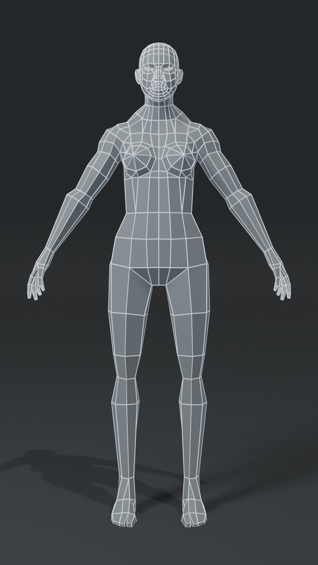 Muscular Human Body Base Mesh Collection 1000 Polygons _19