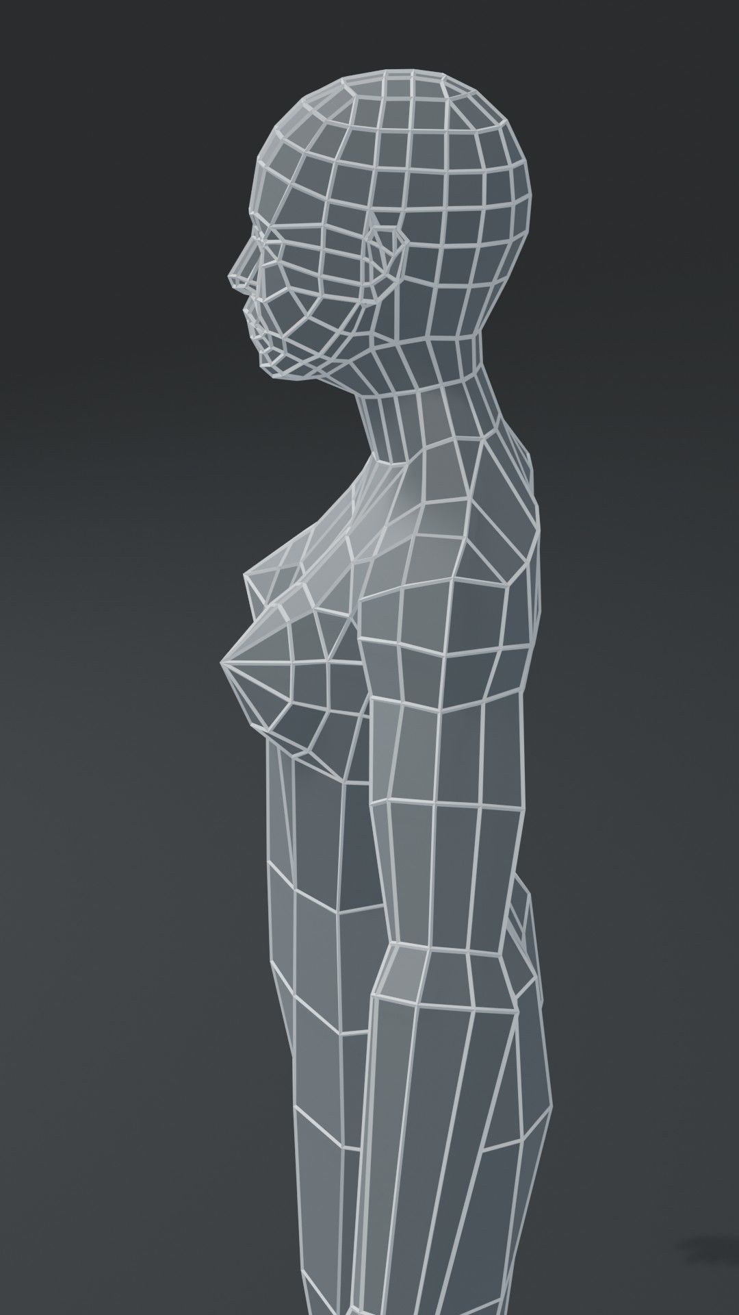 Muscular Human Body Base Mesh Collection 1000 Polygons _14