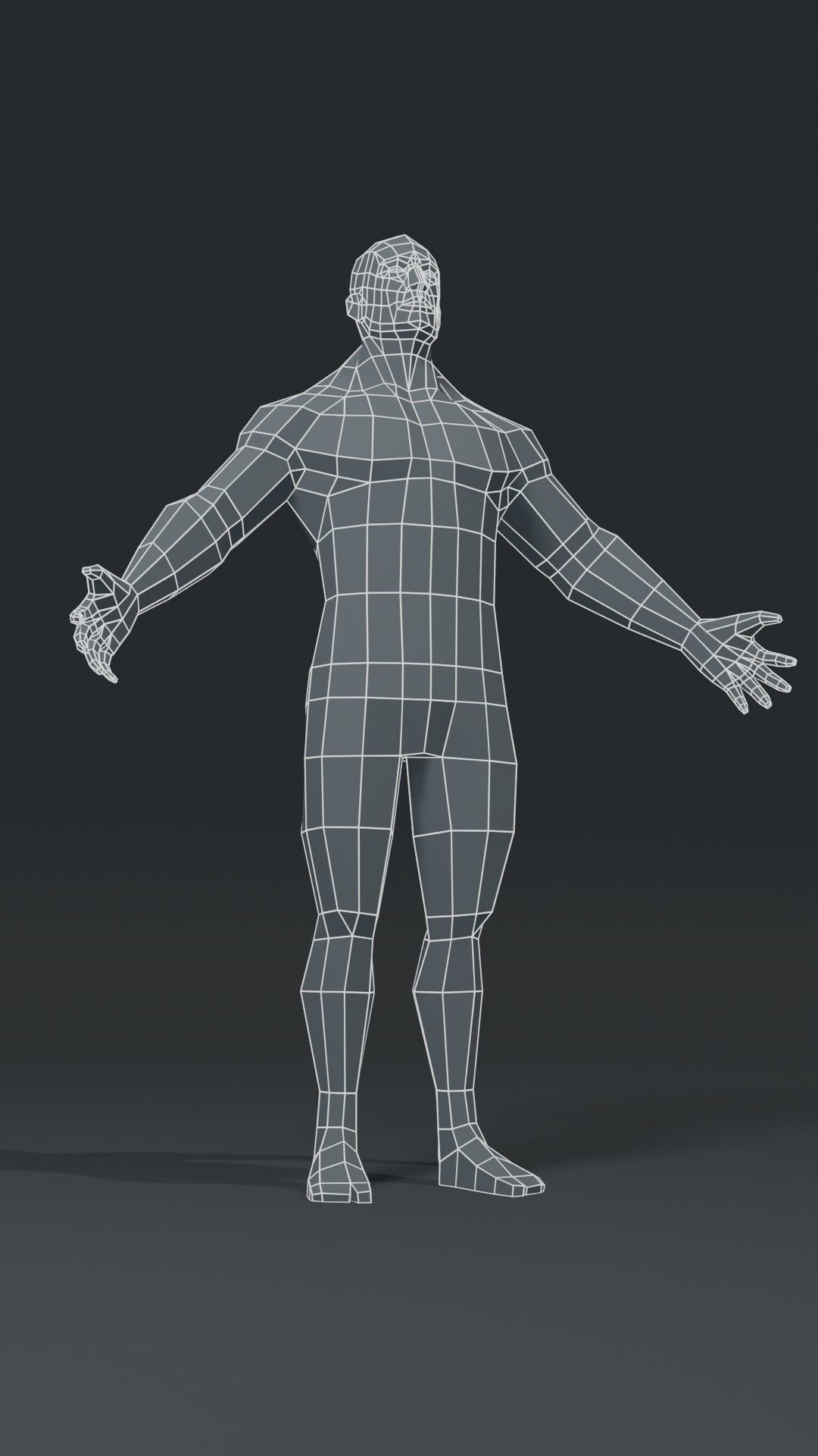 Muscular Human Body Base Mesh Collection 1000 Polygons _13
