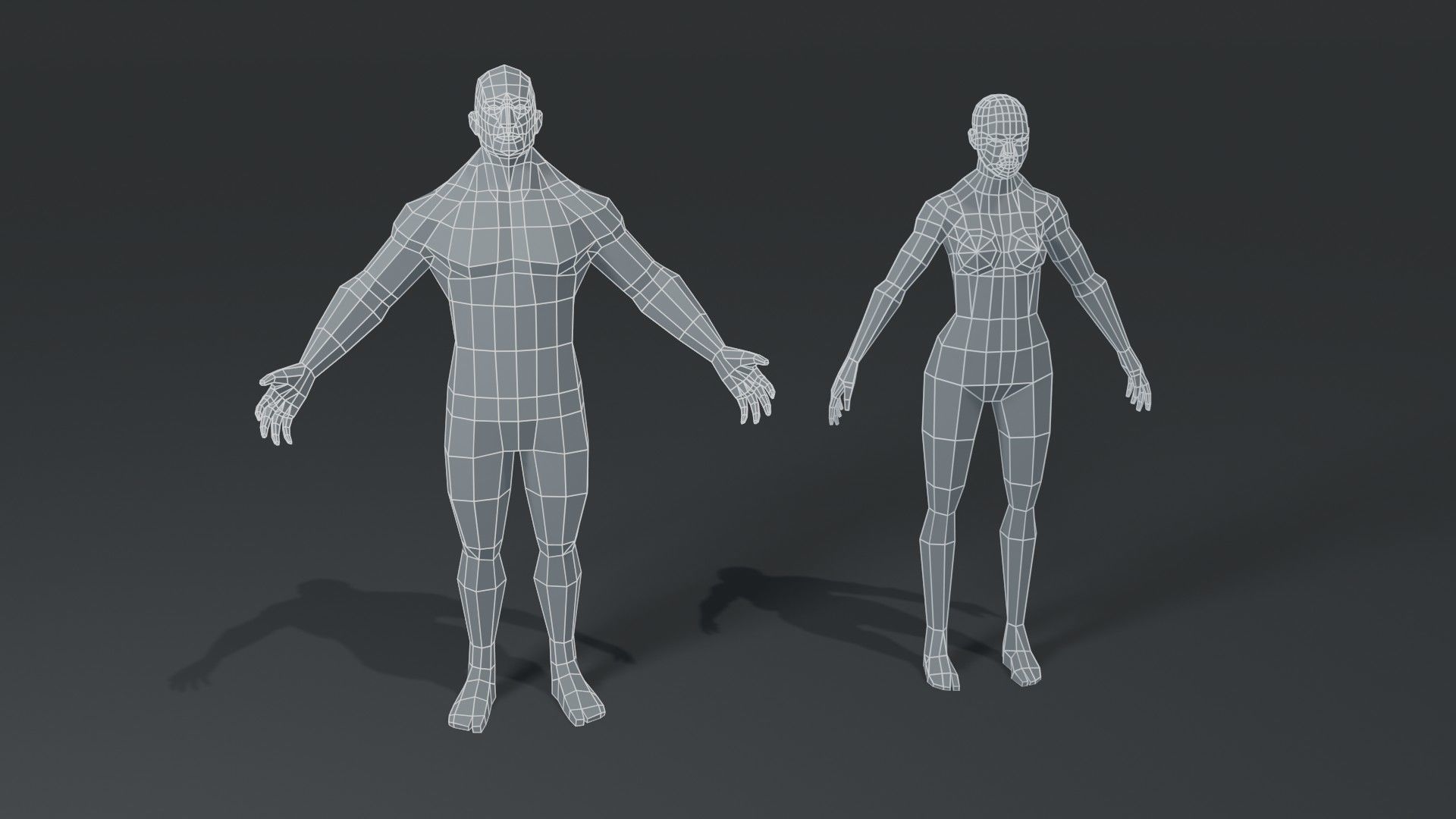 Muscular Human Body Base Mesh Collection 1000 Polygons _18