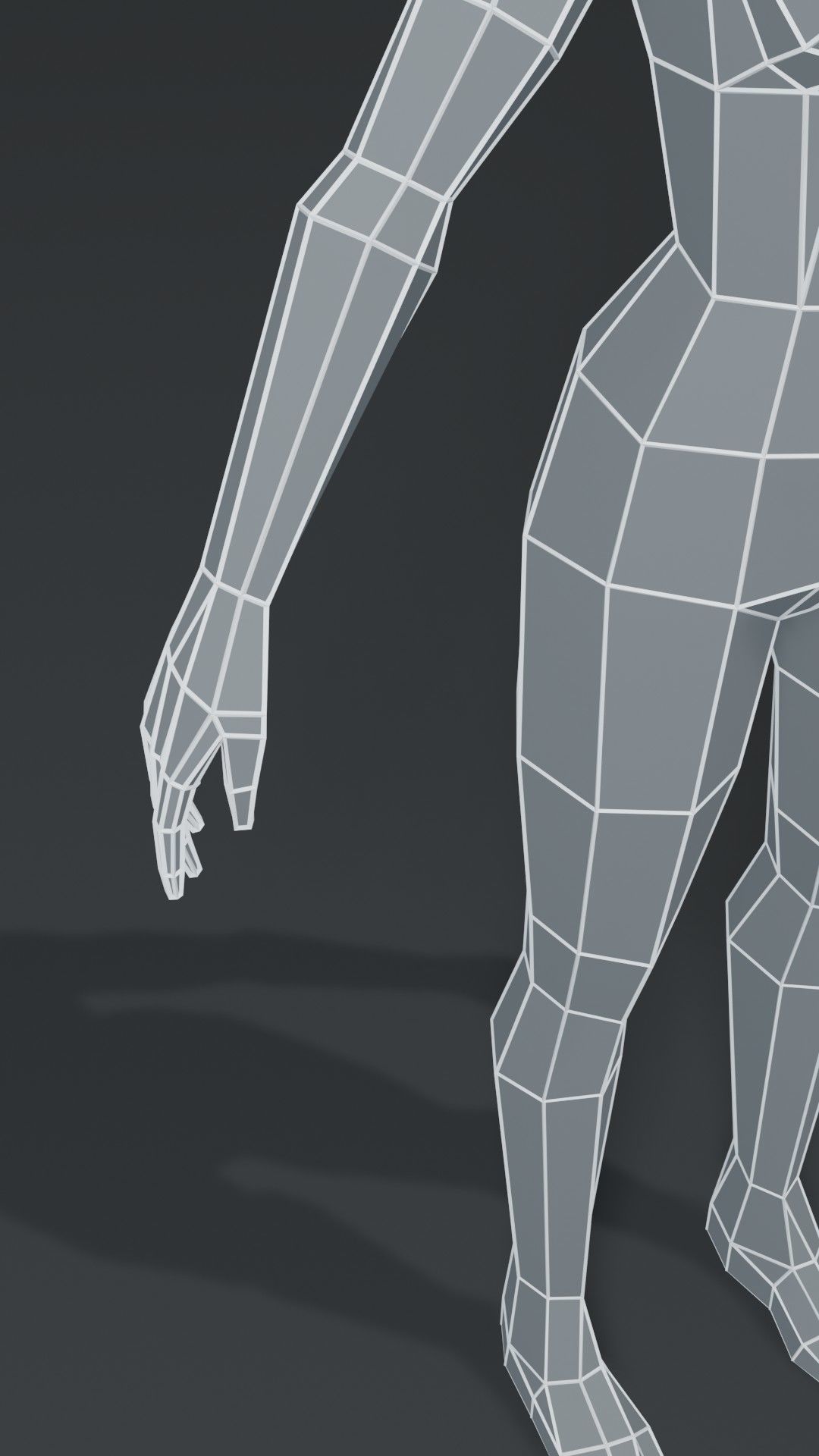 Muscular Human Body Base Mesh Collection 1000 Polygons _9