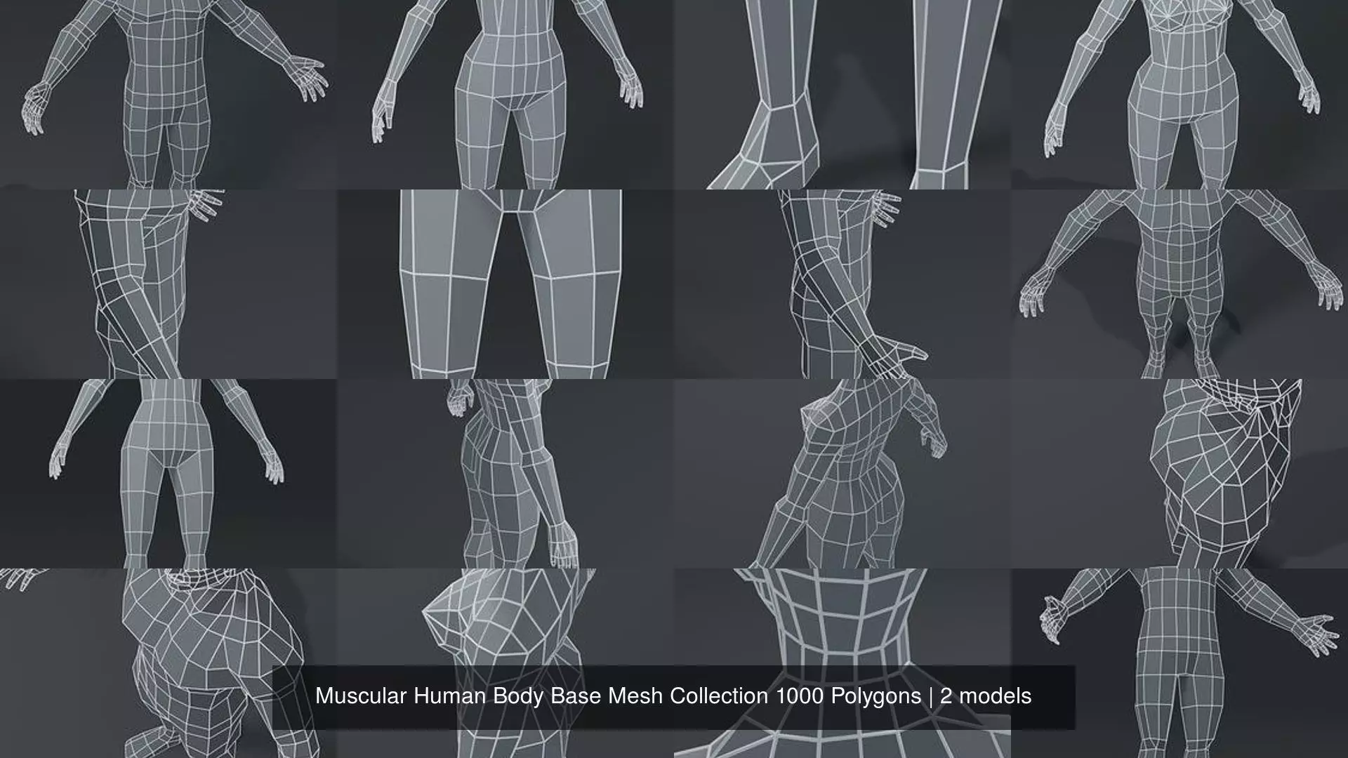 Muscular Human Body Base Mesh Collection 1000 Polygons _3