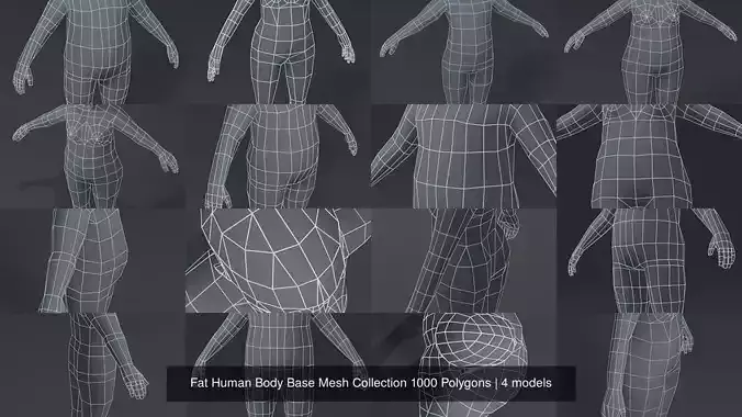 Fat Human Body Base Mesh Collection 1000 Polygons