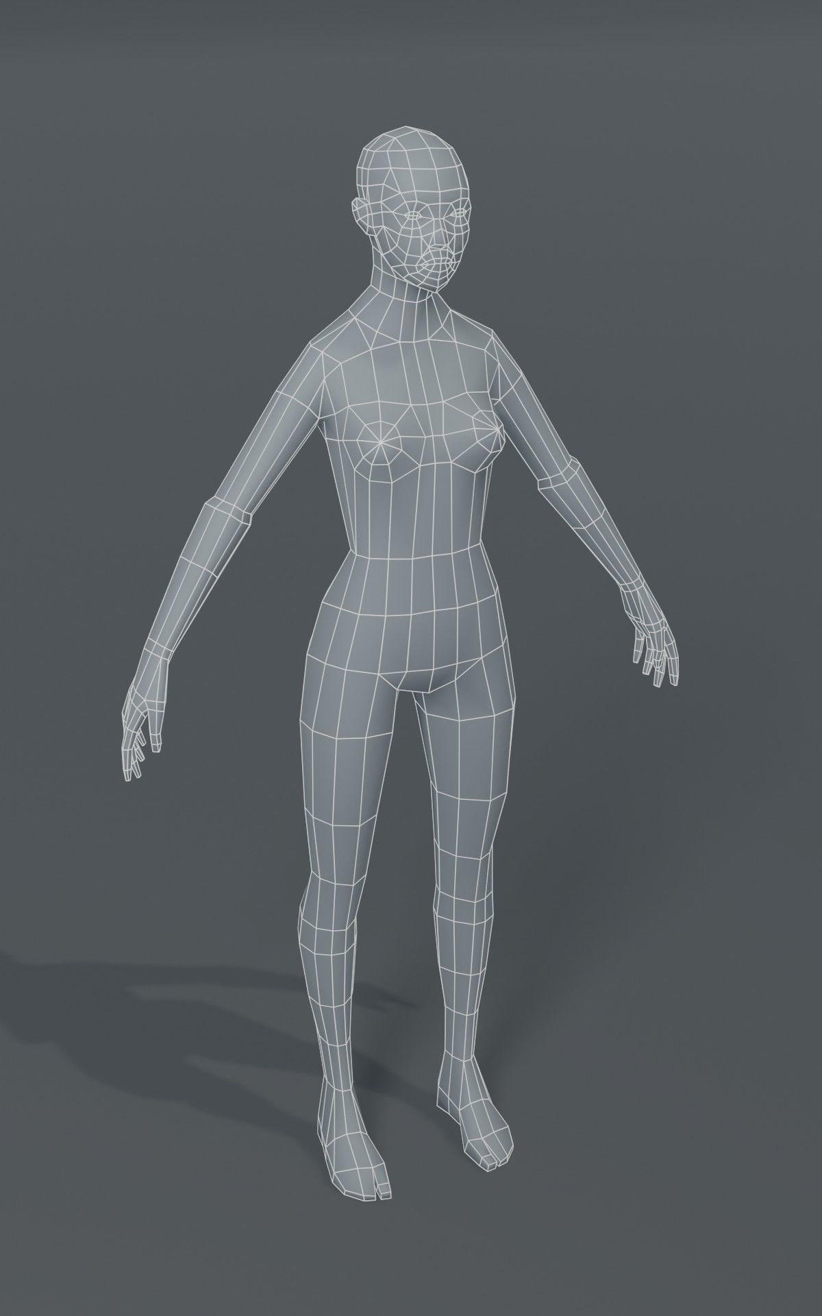 Human Body Base Mesh 1000 Polygons 10 Models Collection _22