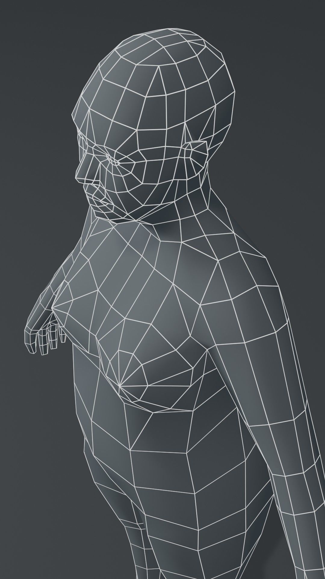 Human Body Base Mesh 1000 Polygons 10 Models Collection _50