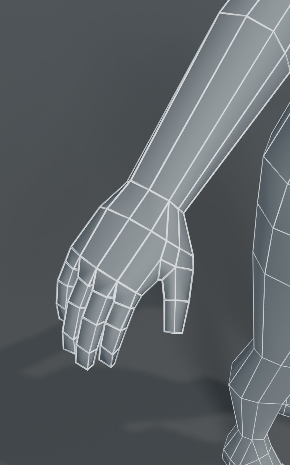 Human Body Base Mesh 1000 Polygons 10 Models Collection _33