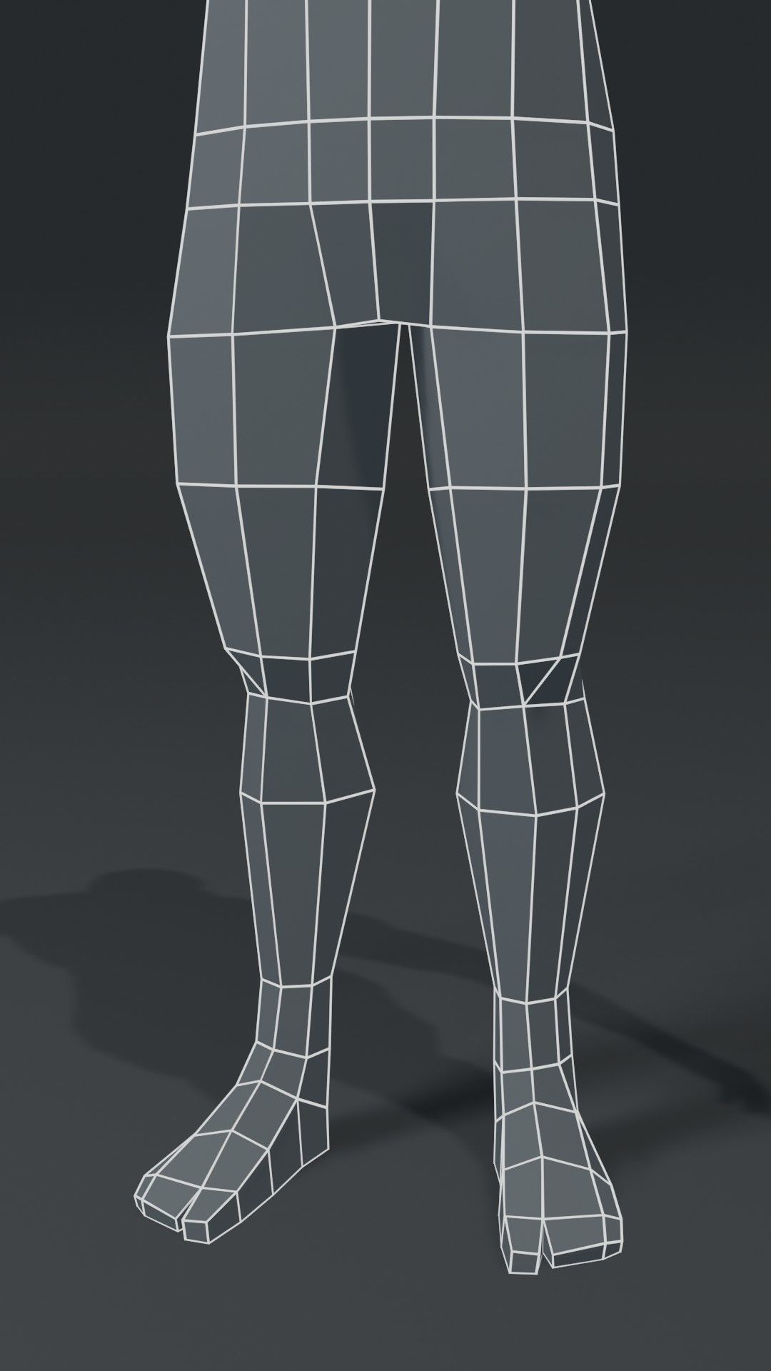 Human Body Base Mesh 1000 Polygons 10 Models Collection _34