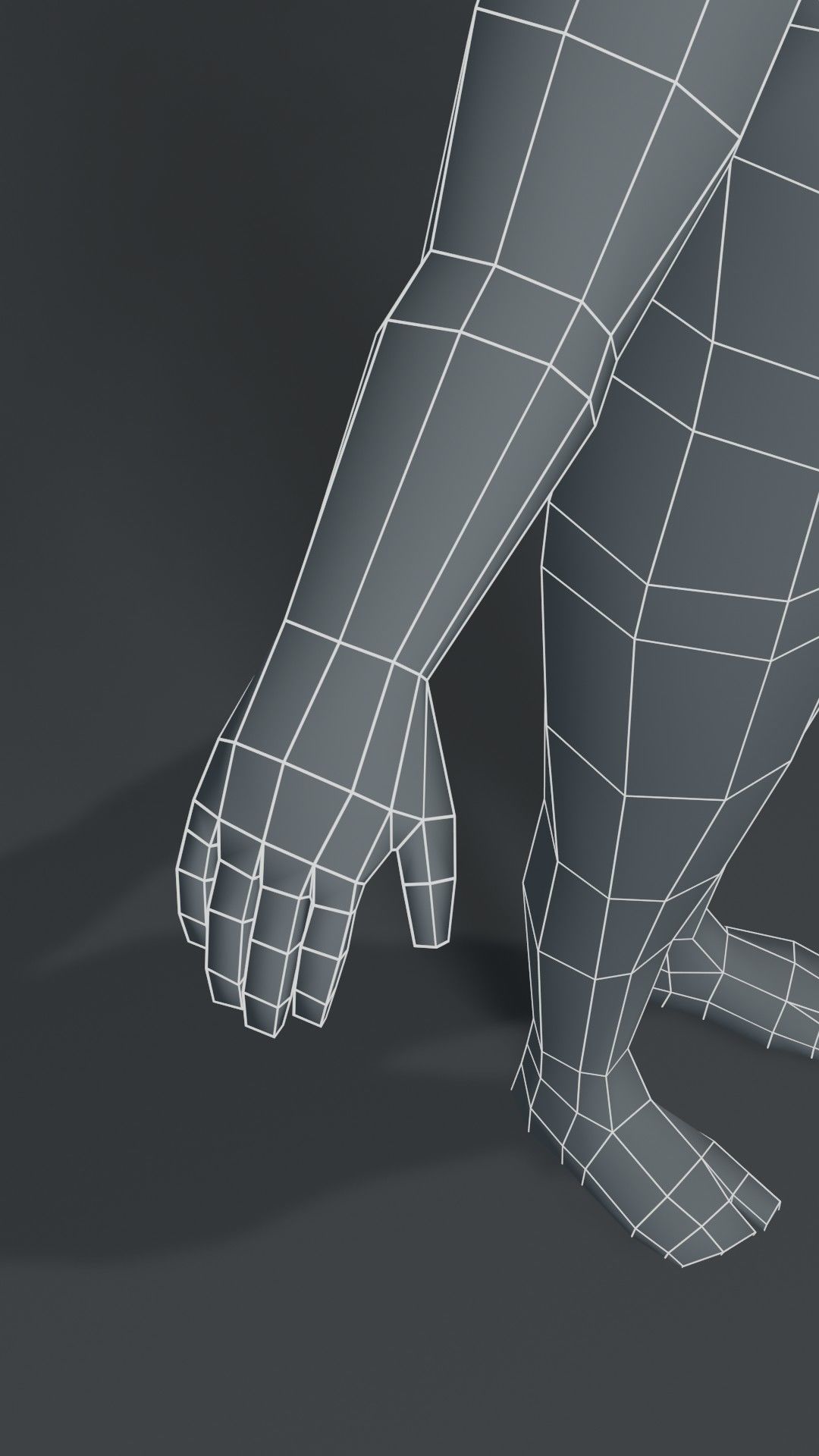 Human Body Base Mesh 1000 Polygons 10 Models Collection _54