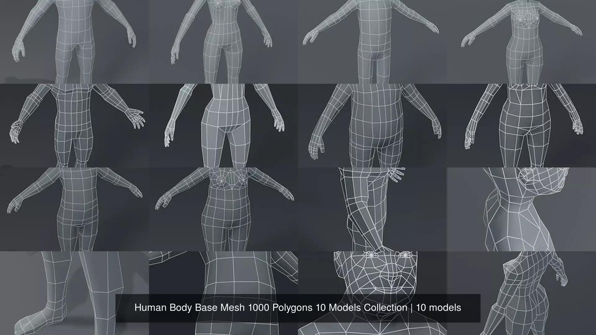 Human Body Base Mesh 1000 Polygons 10 Models Collection _11