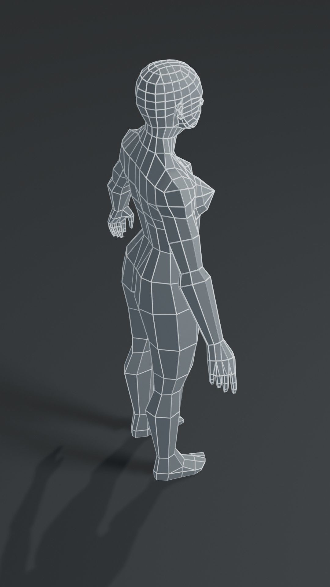 Human Body Base Mesh 1000 Polygons 10 Models Collection _41