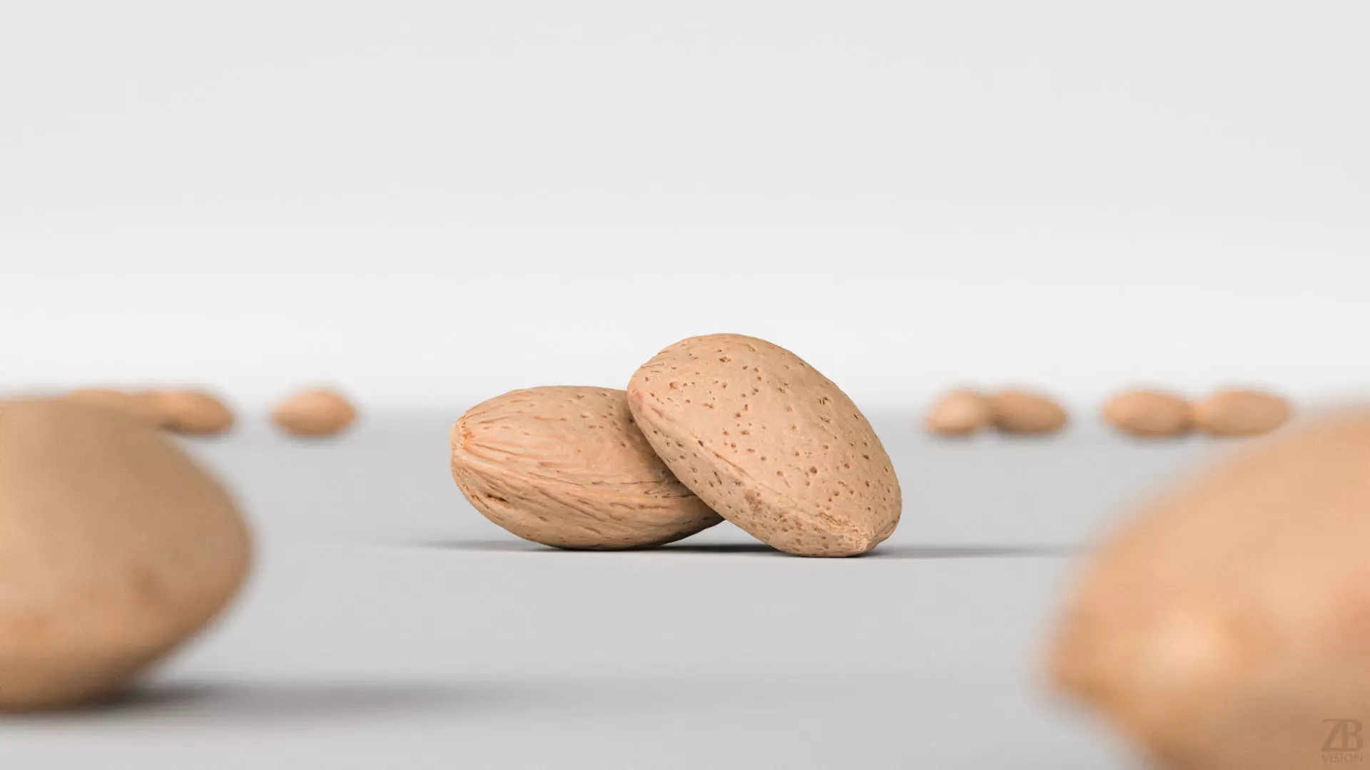 Almond 3D model_1