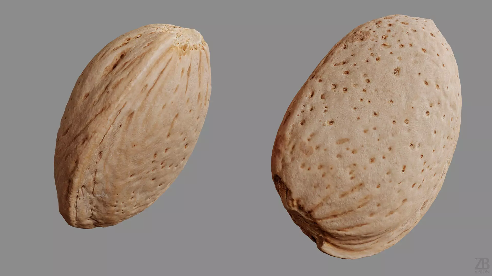 Almond 3D model_8