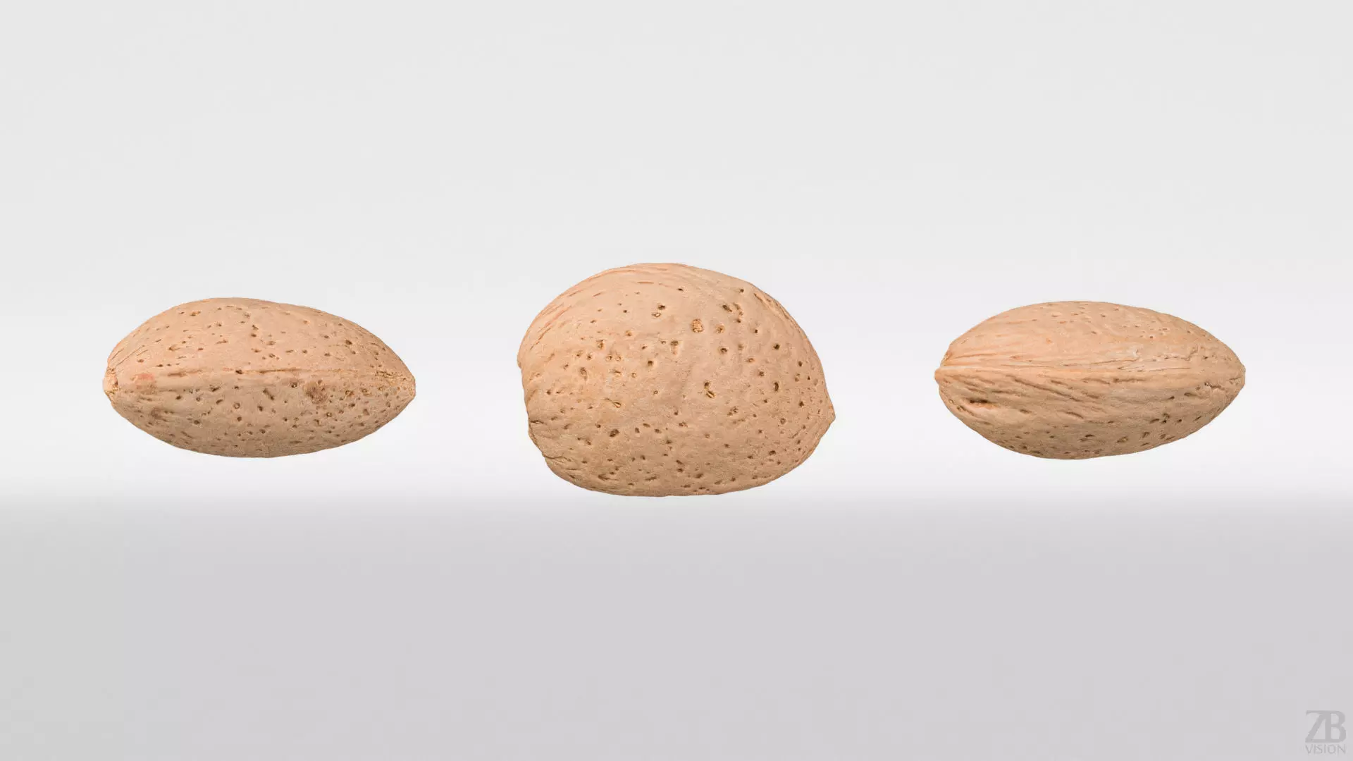 Almond 3D model_4