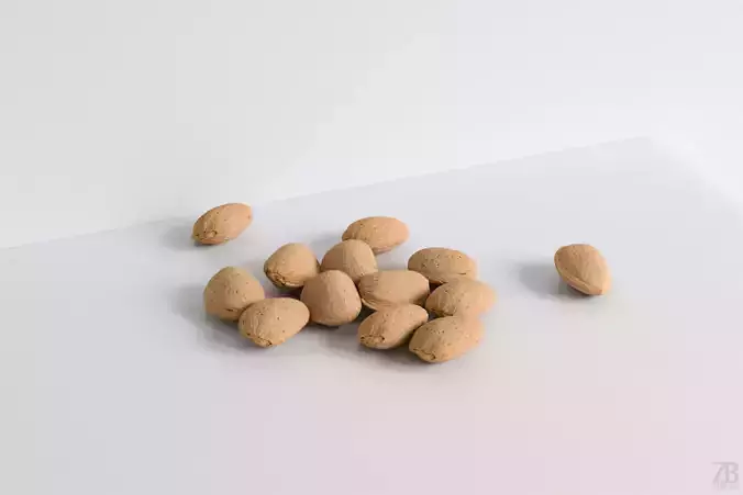 Almond 3D model Almond 3D model
