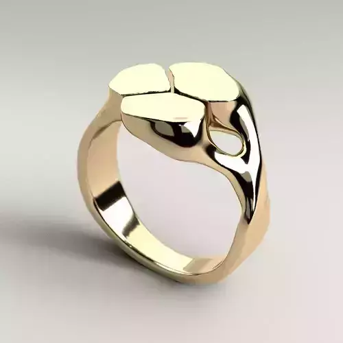 3D Print 3D Ring silver with two hearts