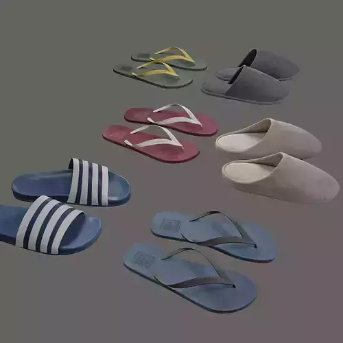 Slippers and Flip-Flops 3D model