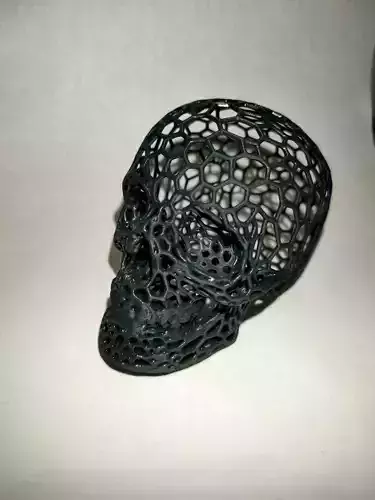 Voronoi Skull 