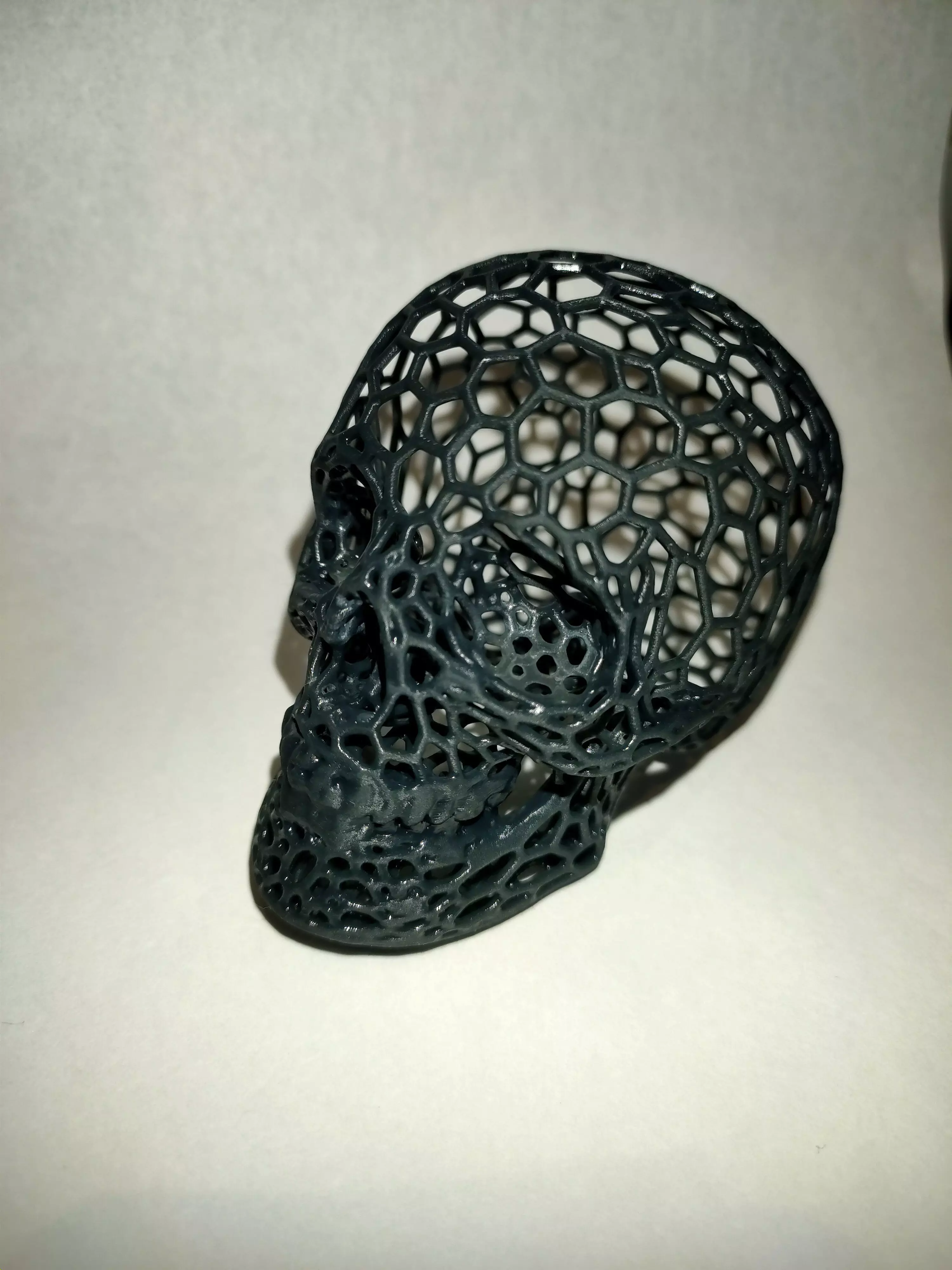 Voronoi Skull 3D print model_0