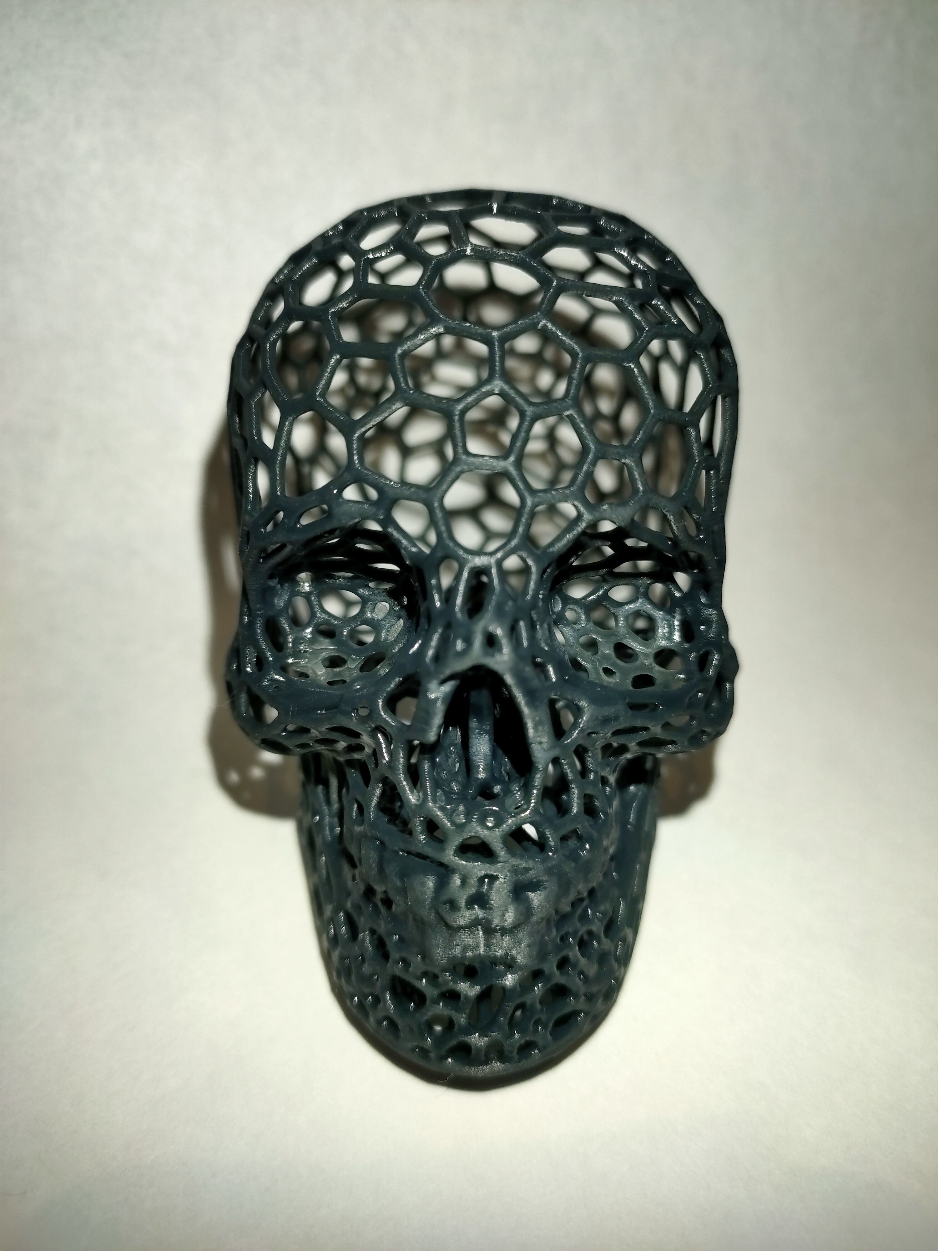 Voronoi Skull 3D print model_2