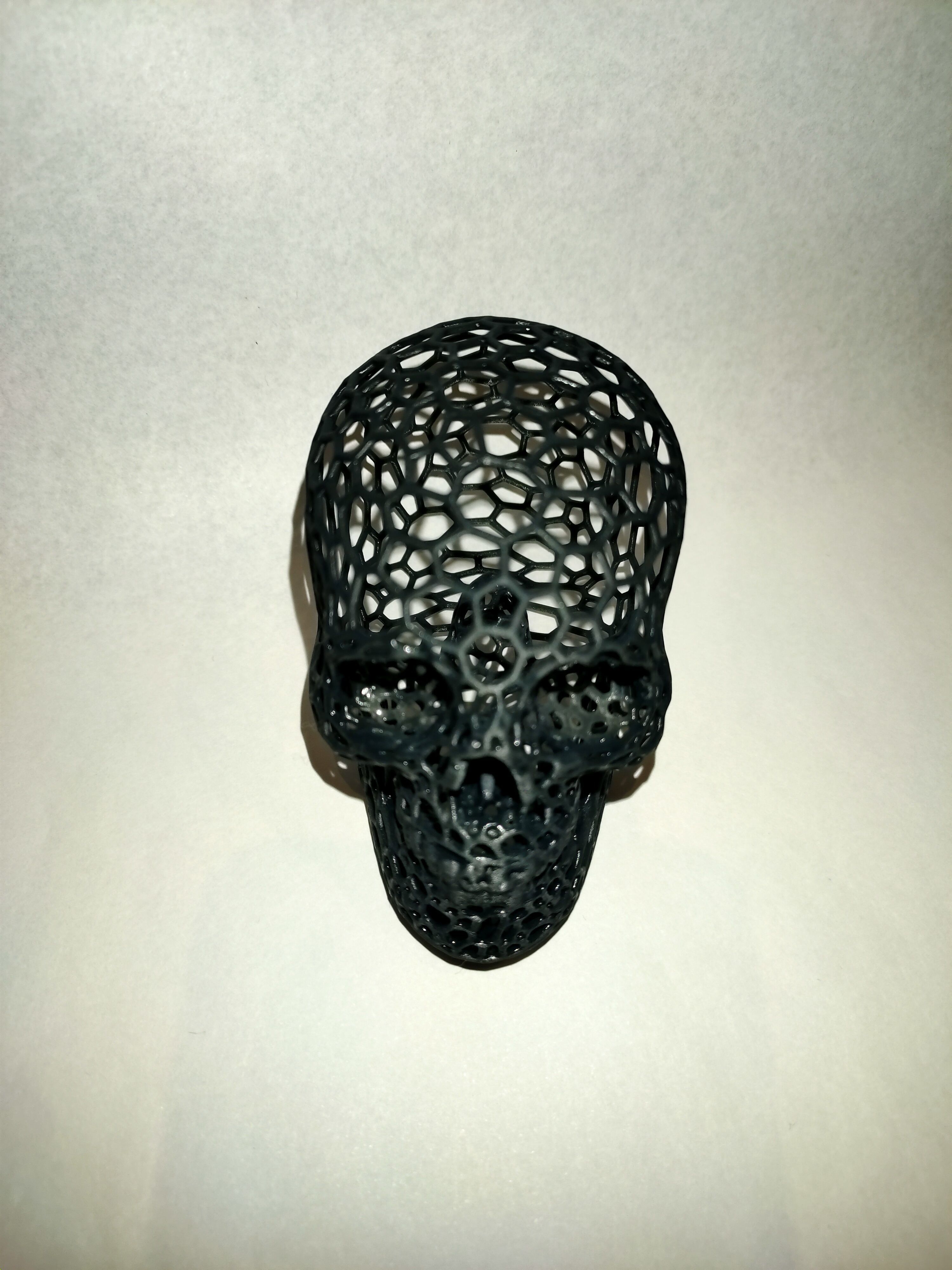 Voronoi Skull 3D print model_3