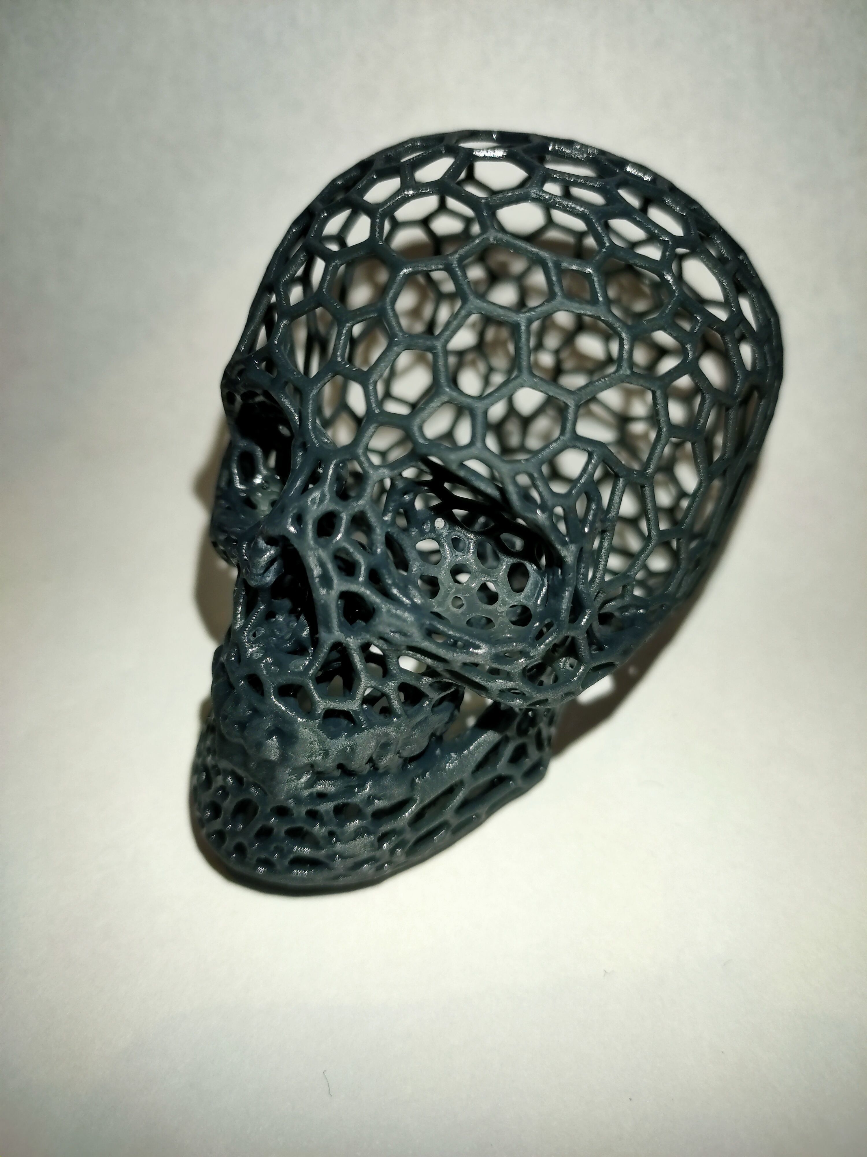 Voronoi Skull 3D print model_9