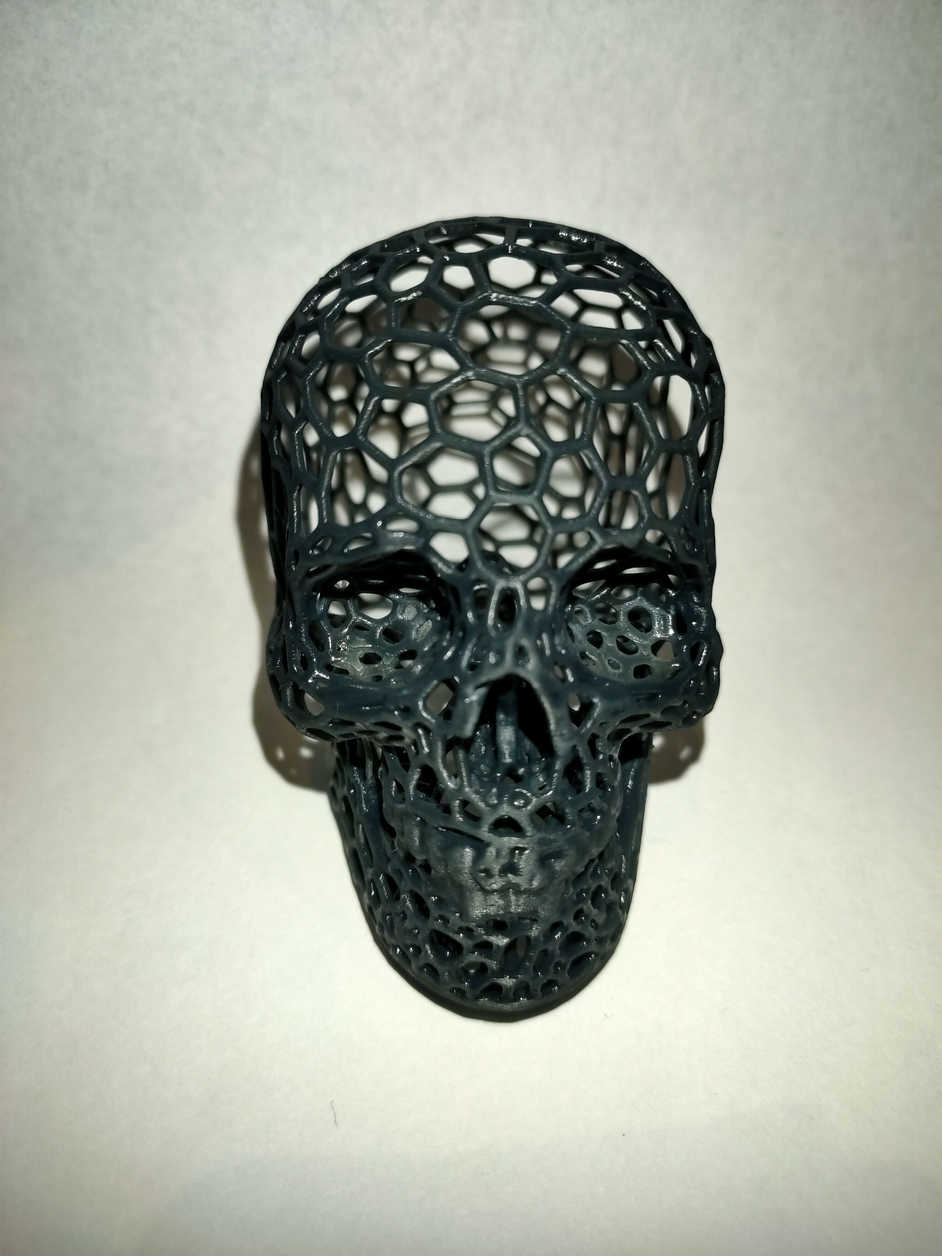 Voronoi Skull 3D print model_8