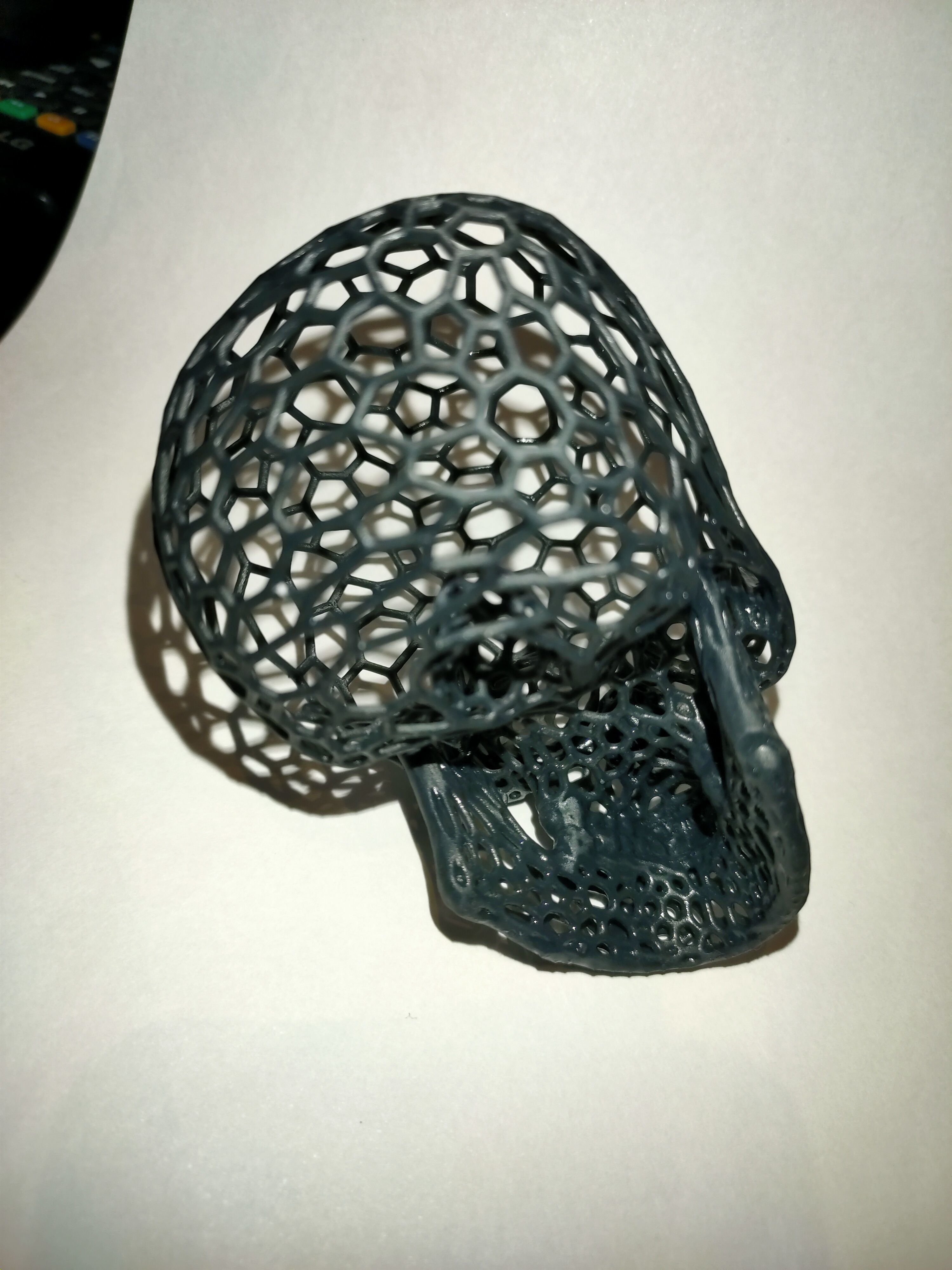 Voronoi Skull 3D print model_5