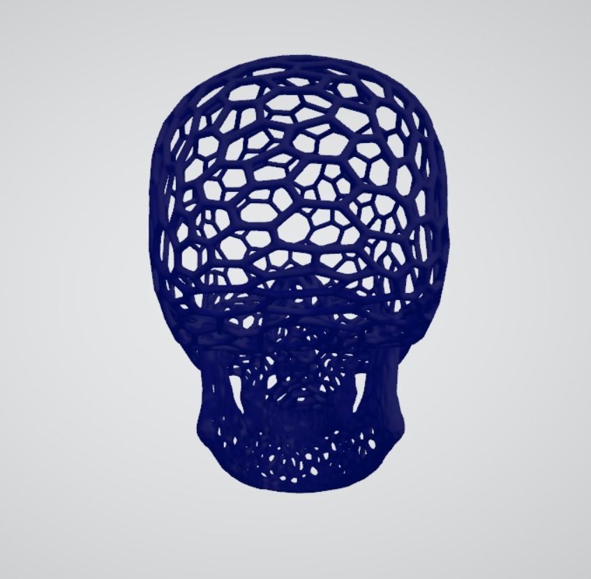 Voronoi Skull 3D print model_14