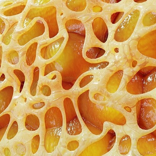 Fat Cell 3D model