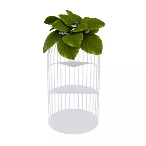 Petit layer stand and flower set