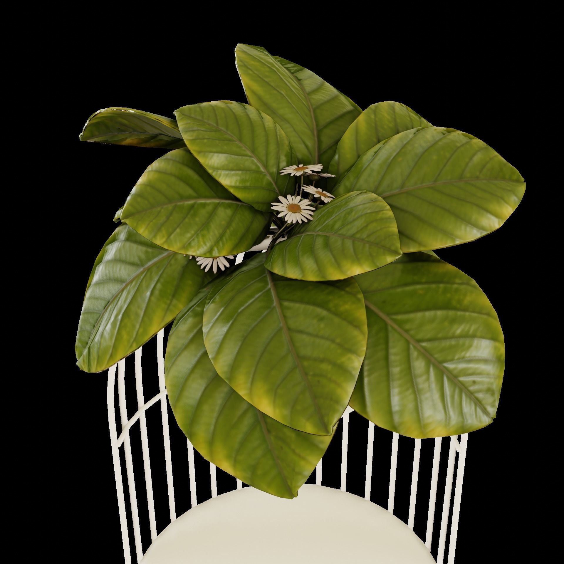 Petit layer stand and flower set 3D model_10