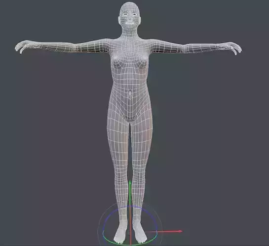 Human Anatomy - Body Base Mesh - Wireframe