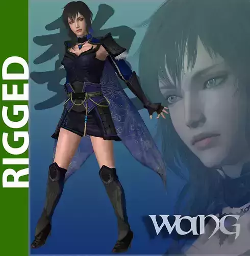 Wang Yi 3D Rigged Model