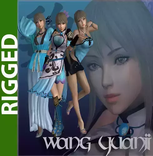 Wang Yuani 3D Rigged Model